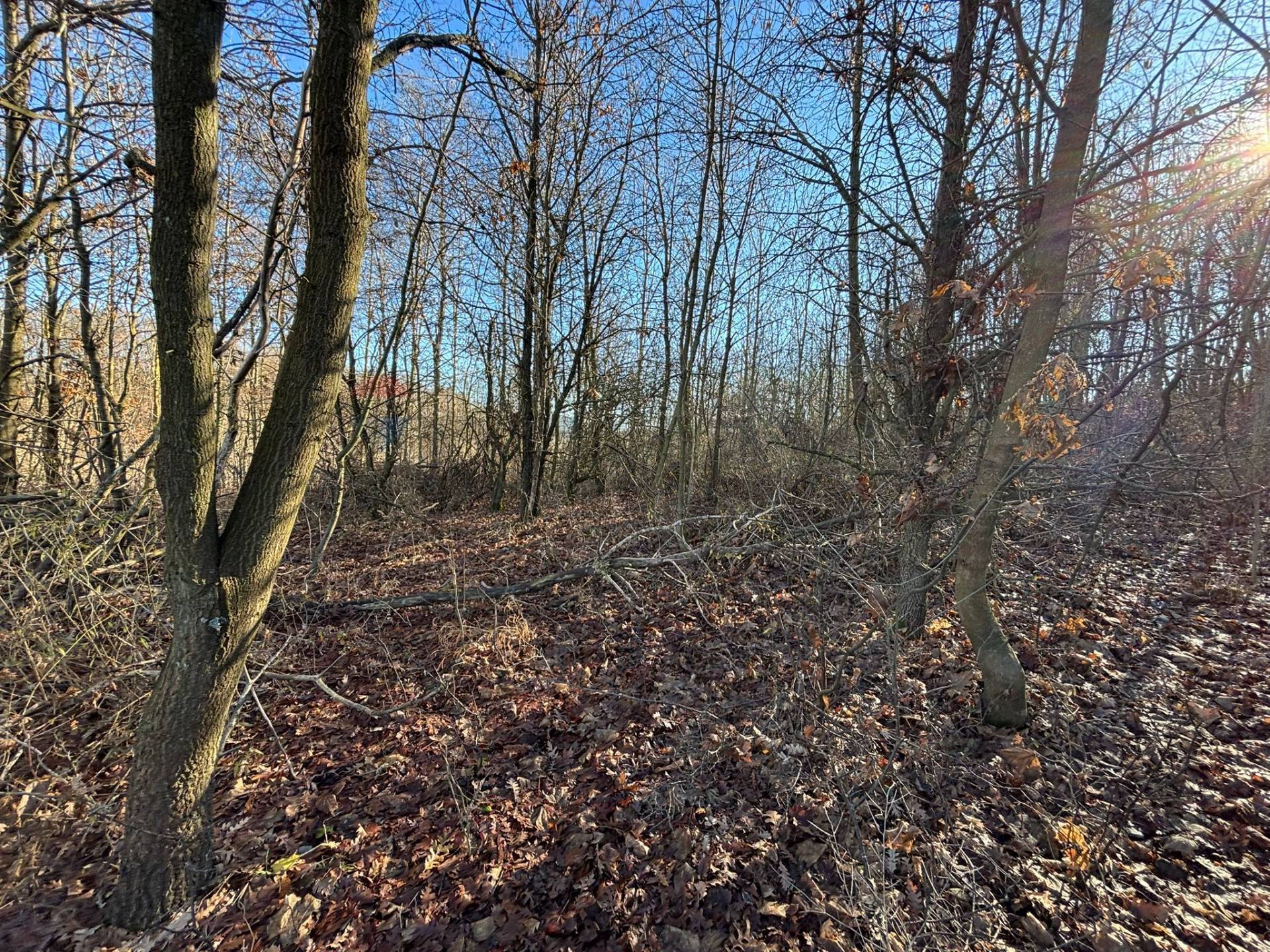 Terreno in vendita a Montezemolo