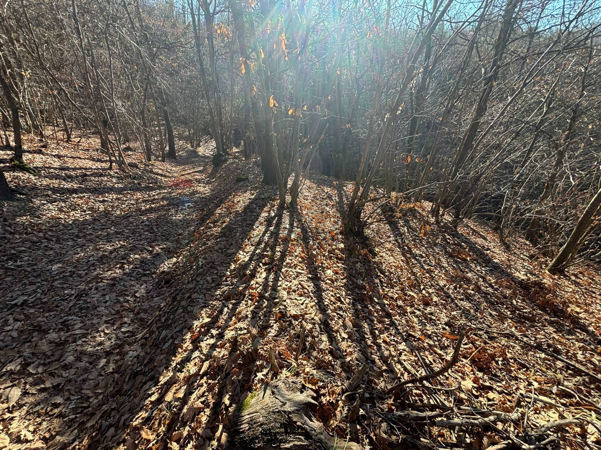 Terreno in vendita a Montezemolo