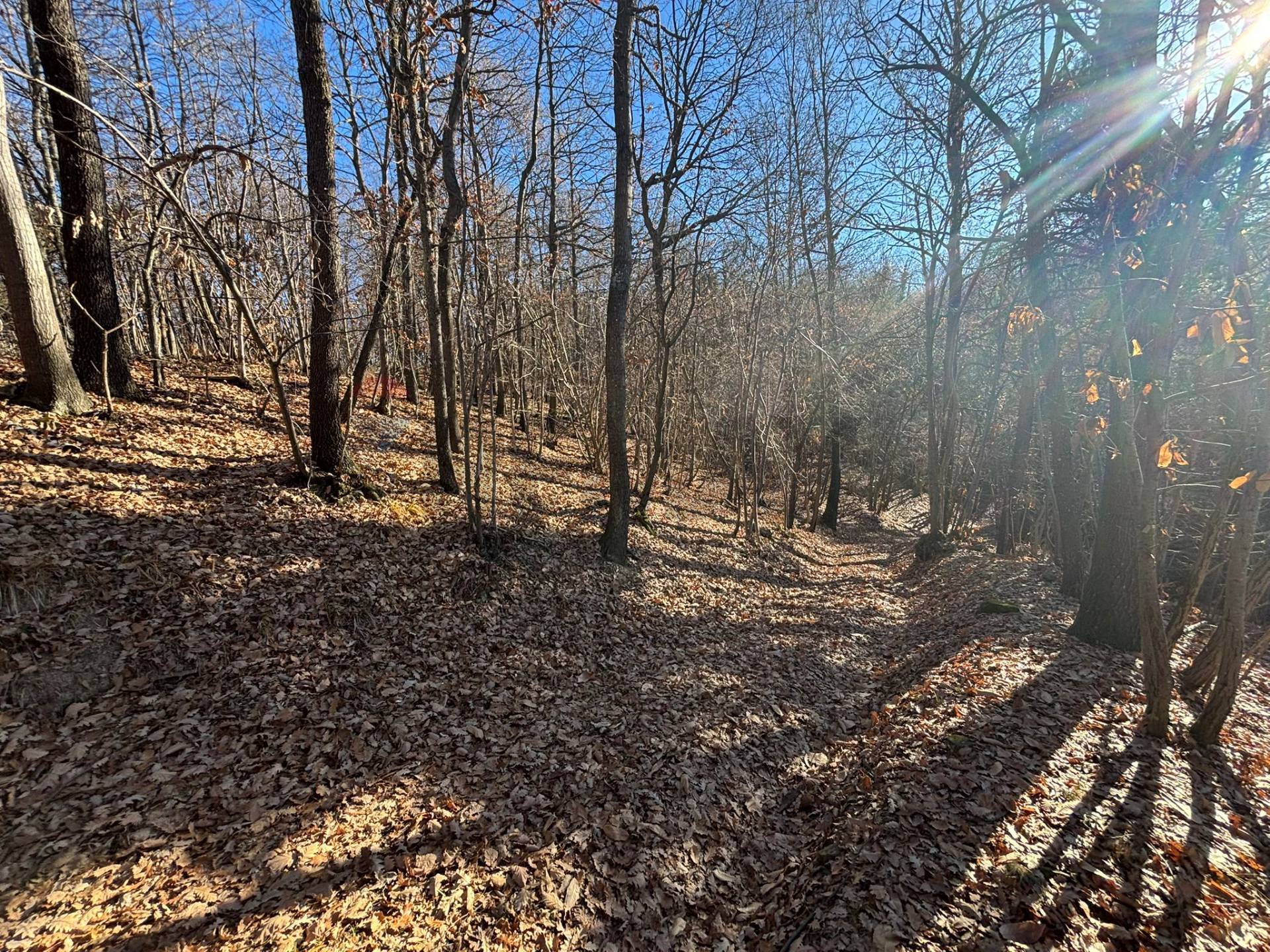 Terreno in vendita a Montezemolo
