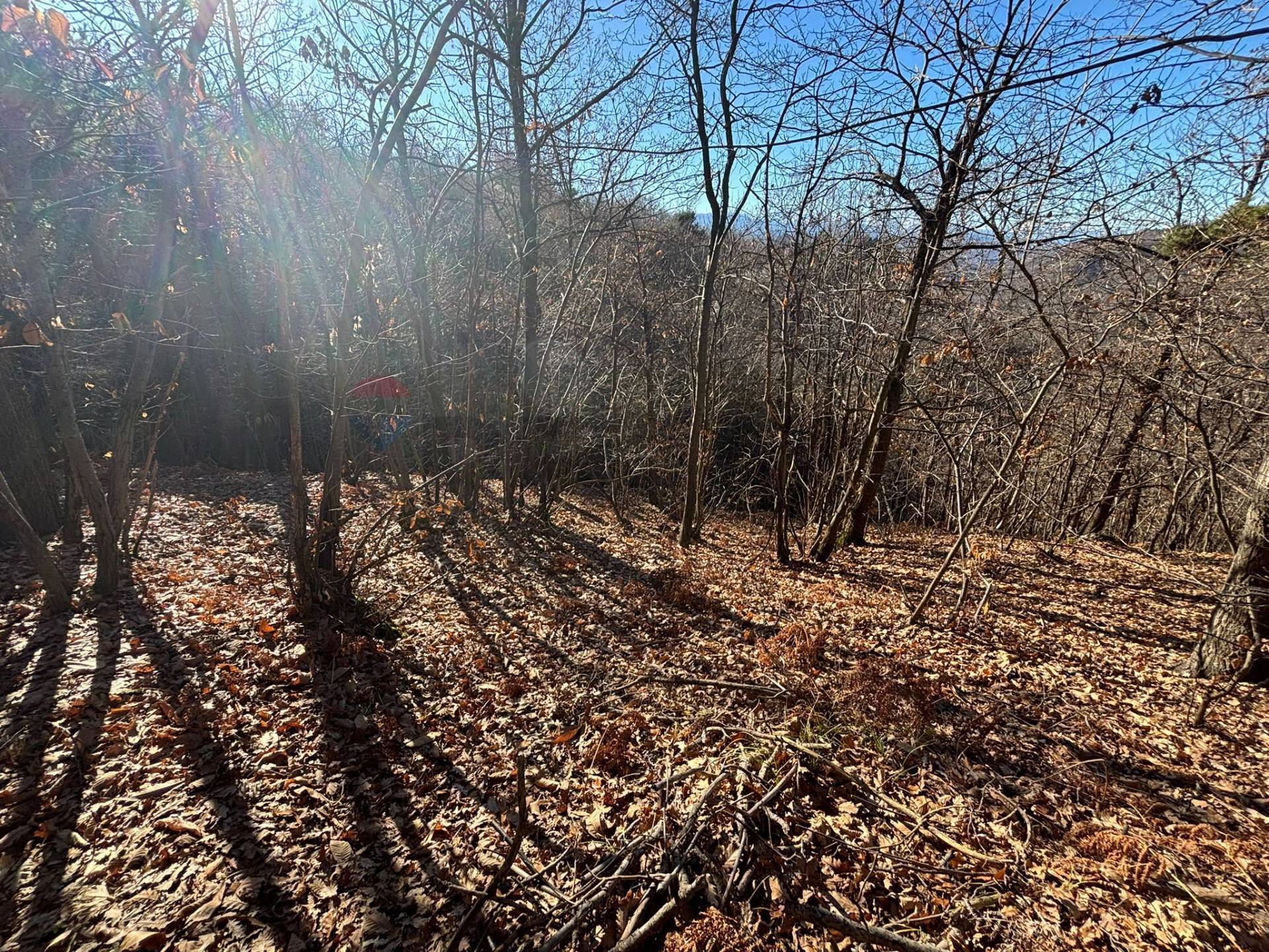 Terreno in vendita a Montezemolo
