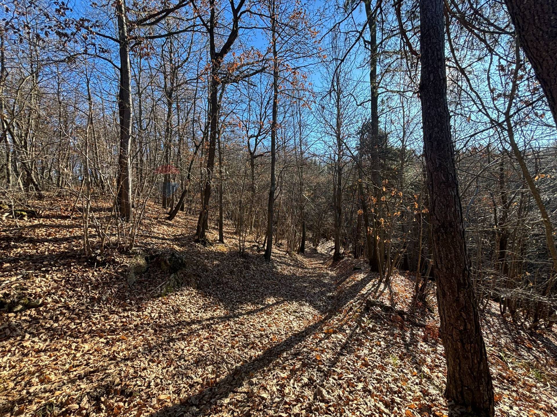 Terreno in vendita a Montezemolo