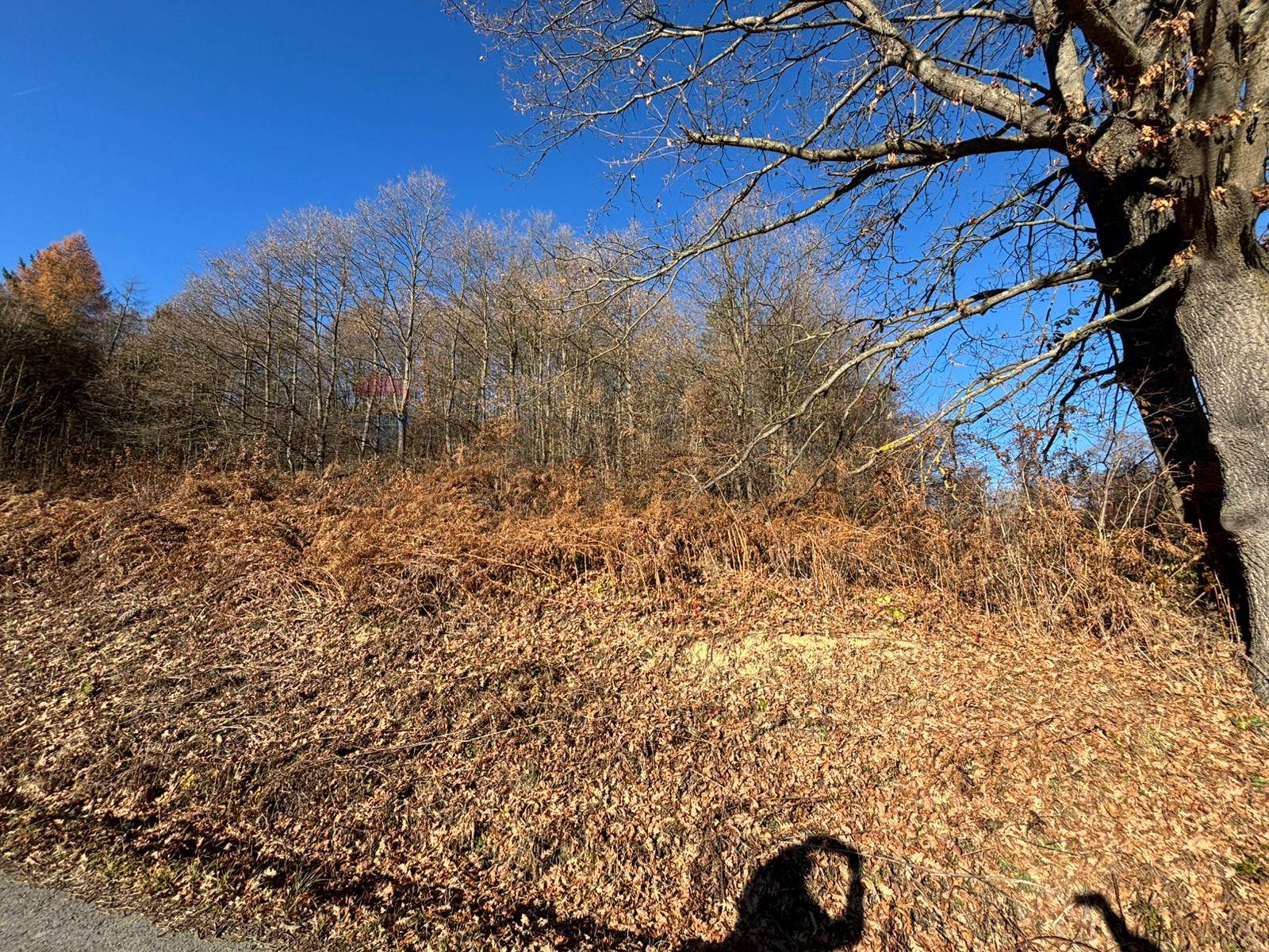 Terreno in vendita a Montezemolo