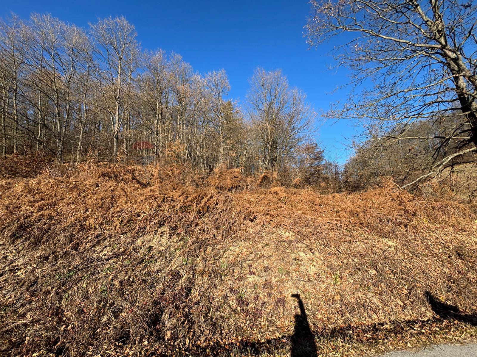 Terreno in vendita a Montezemolo