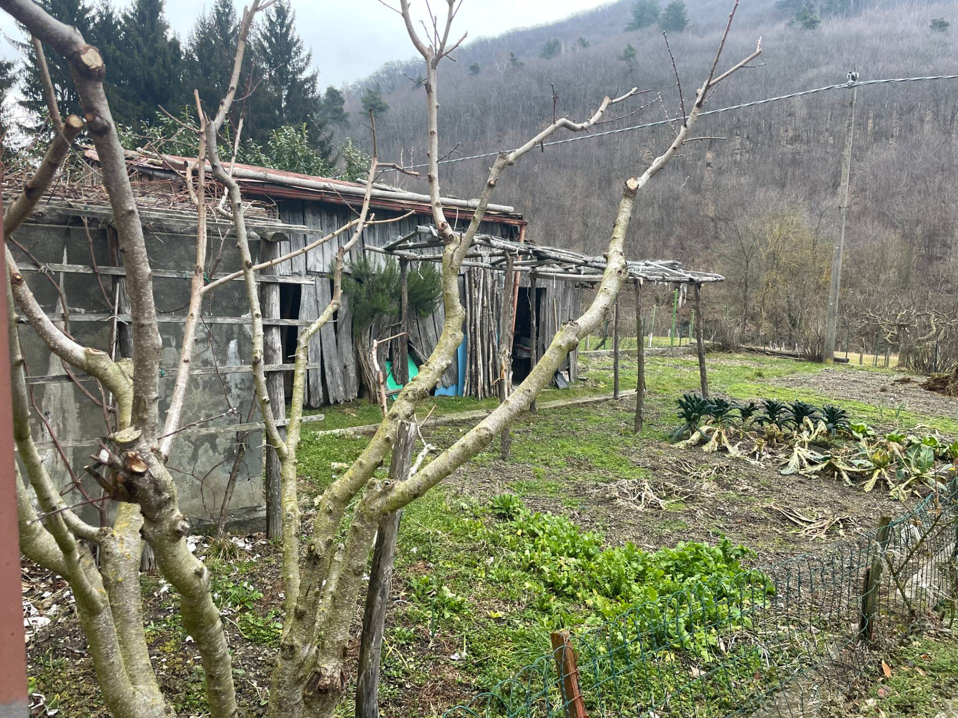 Casa Semindipendente in vendita a Bormida, Piano Soprano
