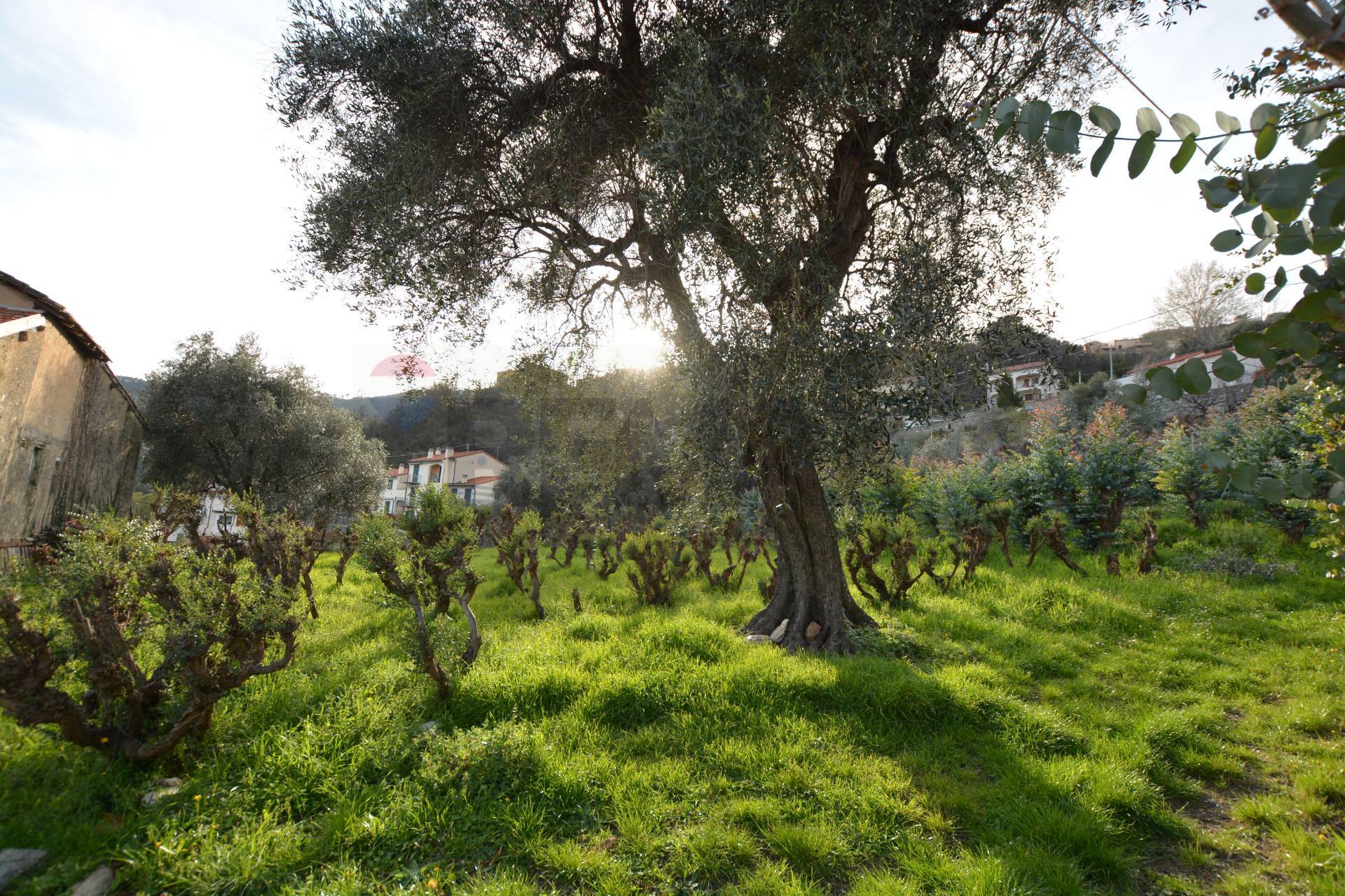 Rustico in vendita a Magliolo