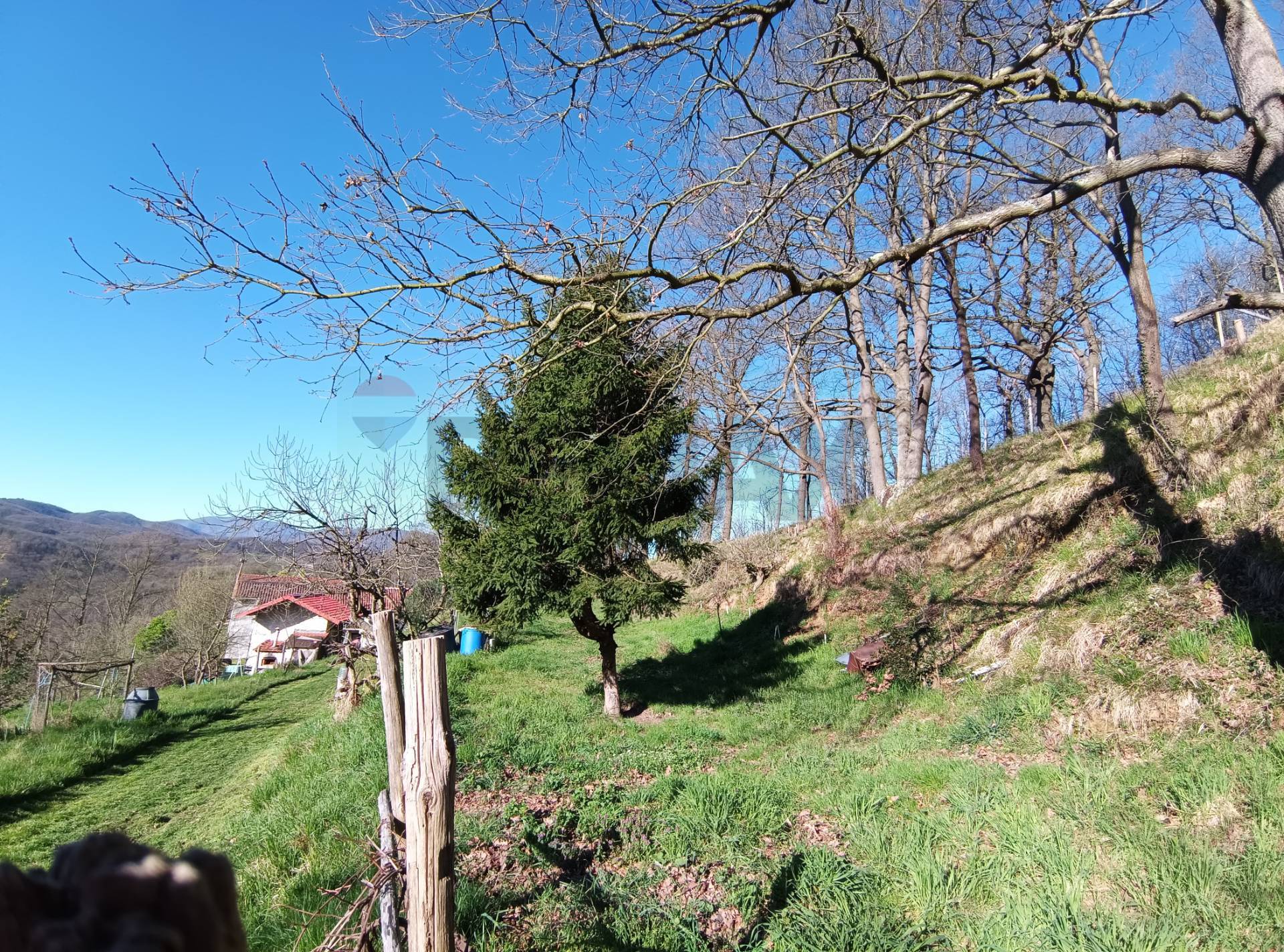 Casa Semindipendente in vendita a Altare