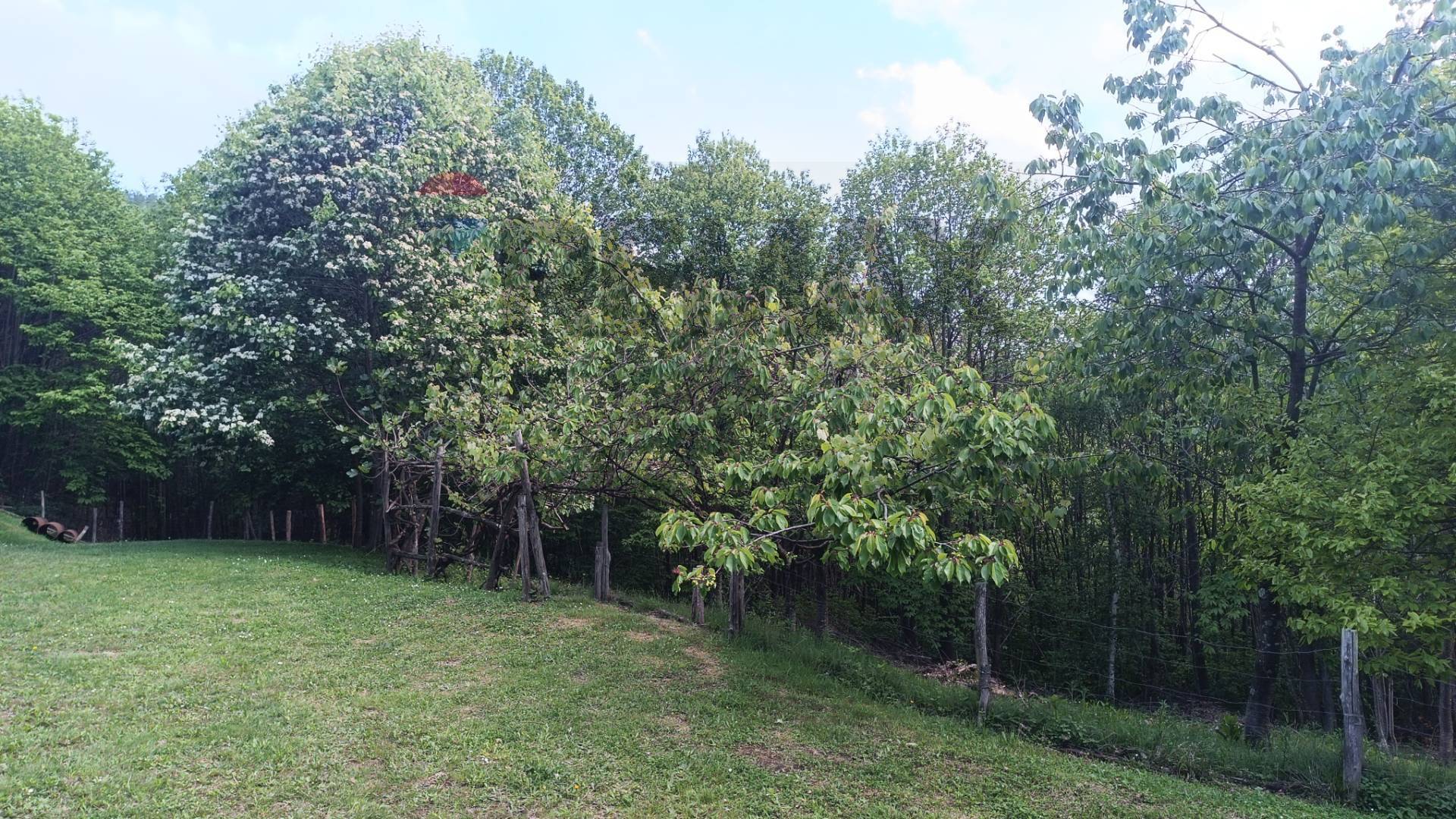 Cascina/Casale in vendita a Bormida