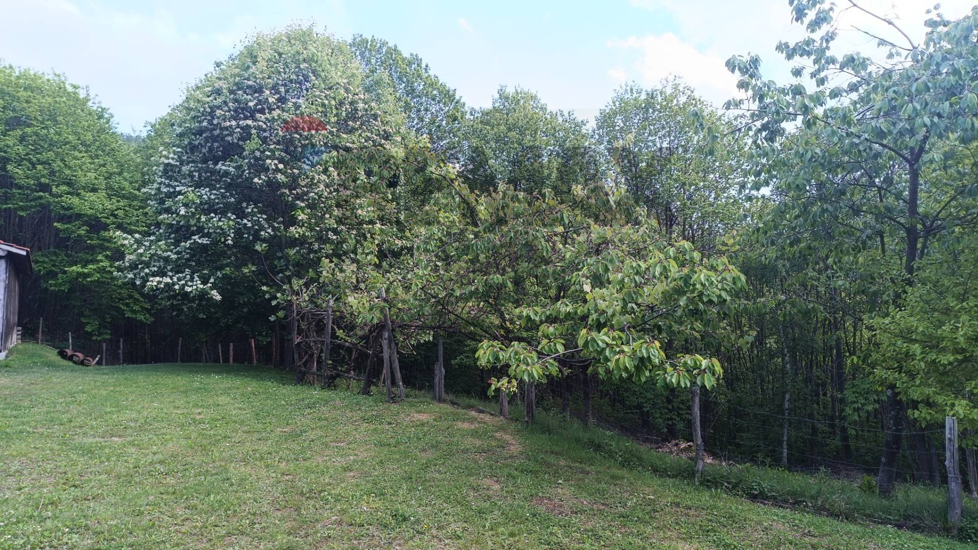 Cascina/Casale in vendita a Bormida