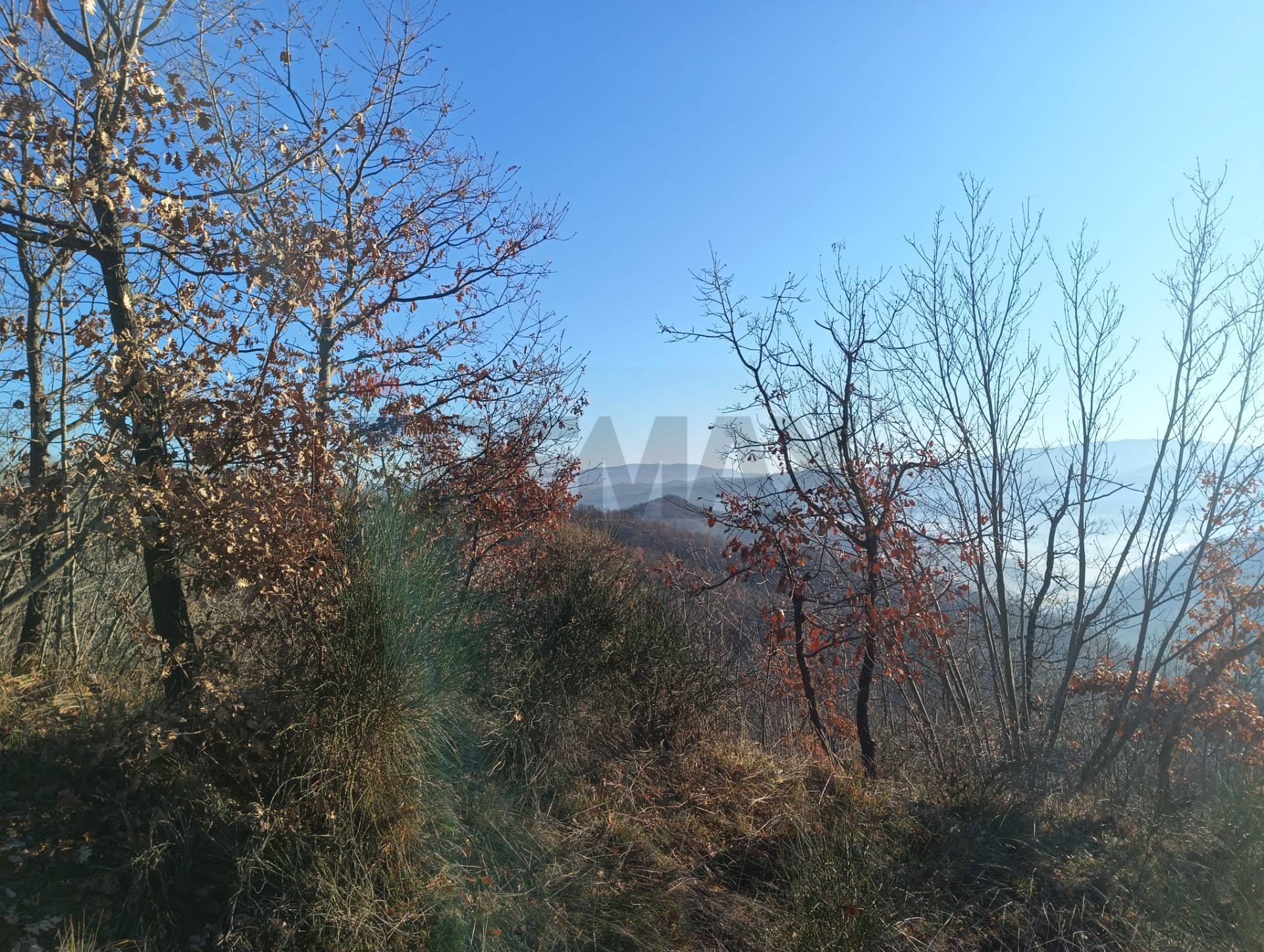 Cascina/Casale in vendita a Cairo Montenotte