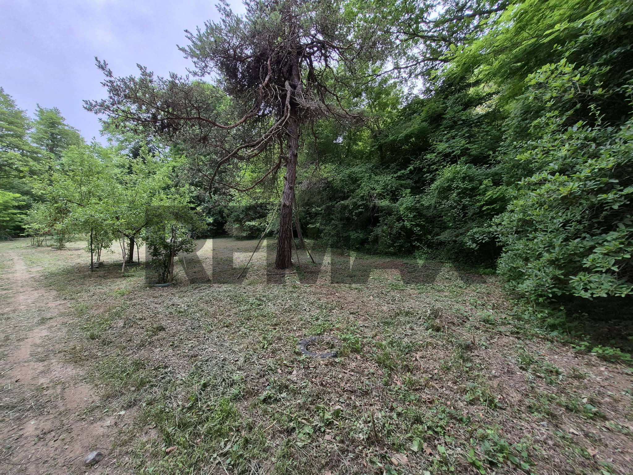 Casa Indipendente in vendita a Cairo Montenotte, Ferrania