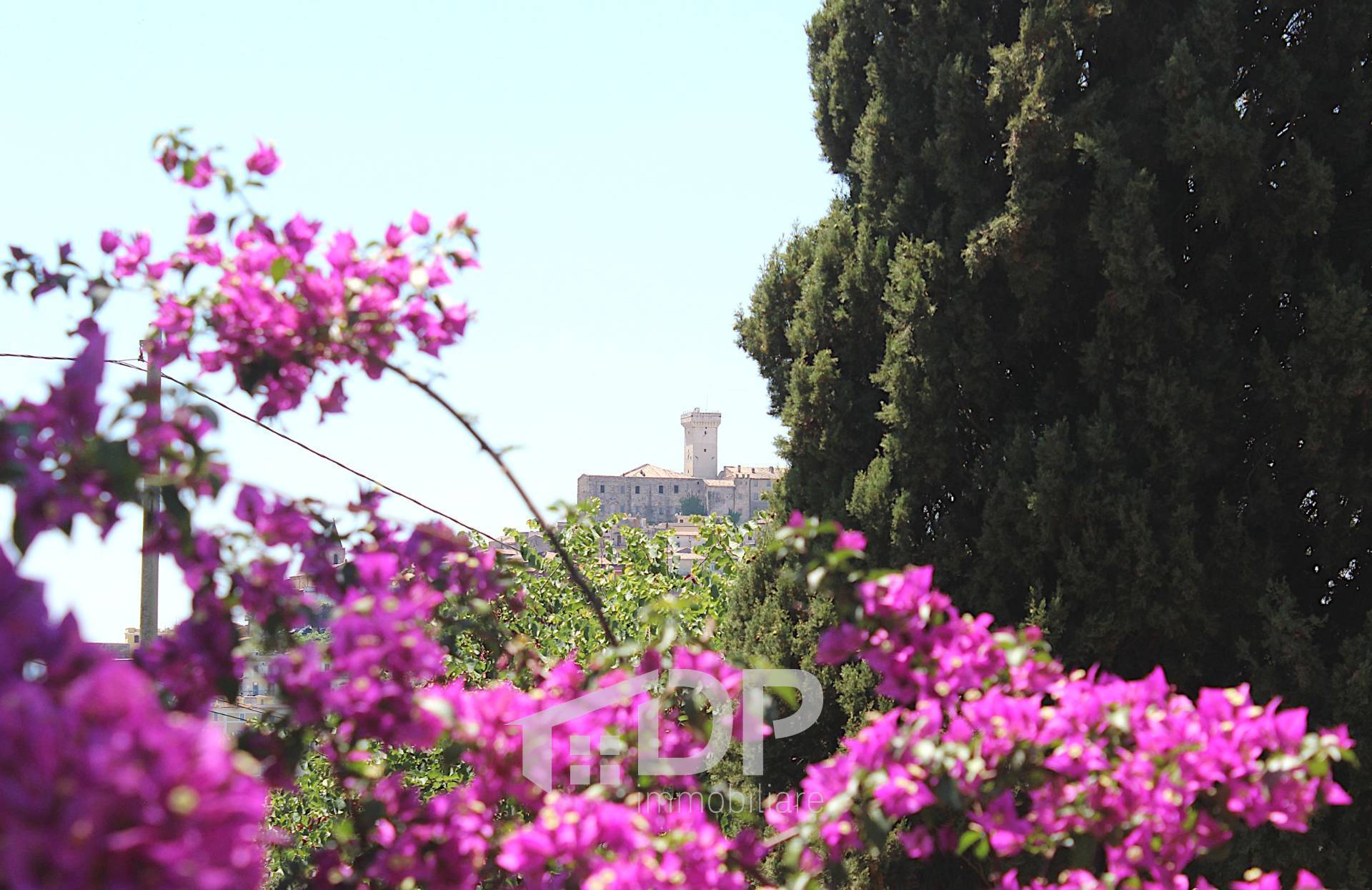 Villa in affitto a Palombara Sabina, Castiglione