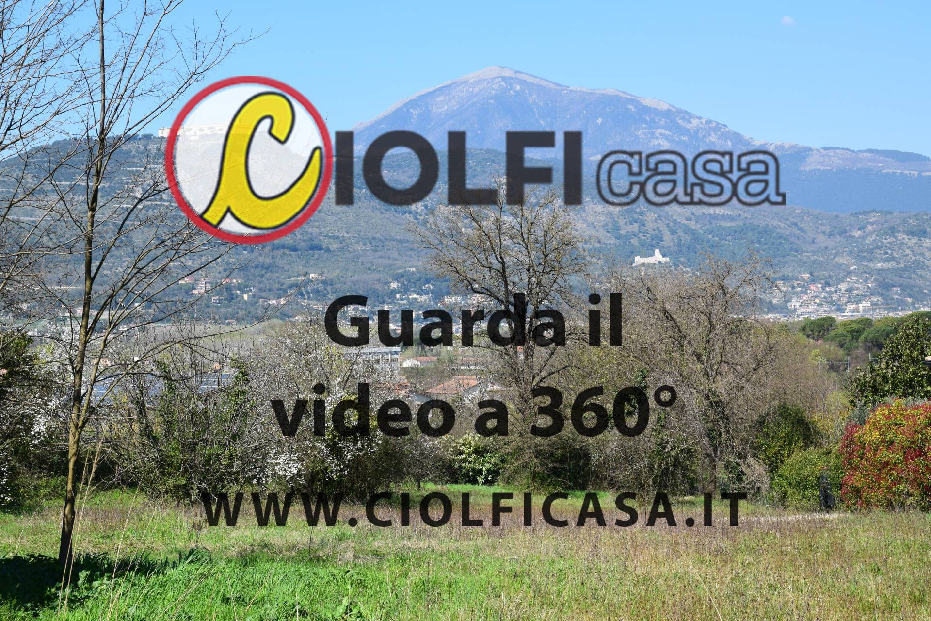immagine annuncio 1 di 3