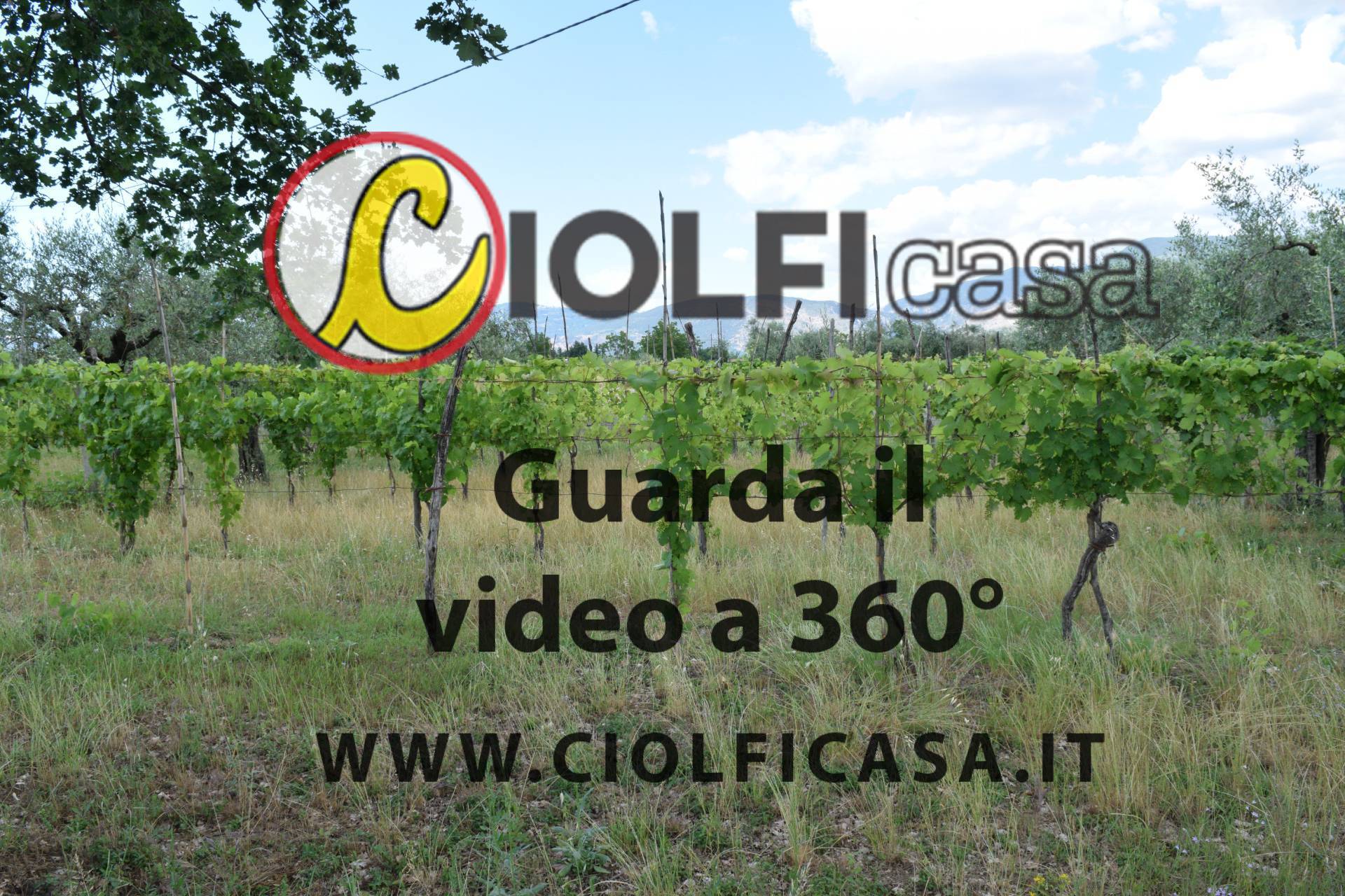 immagine annuncio 4 di 6