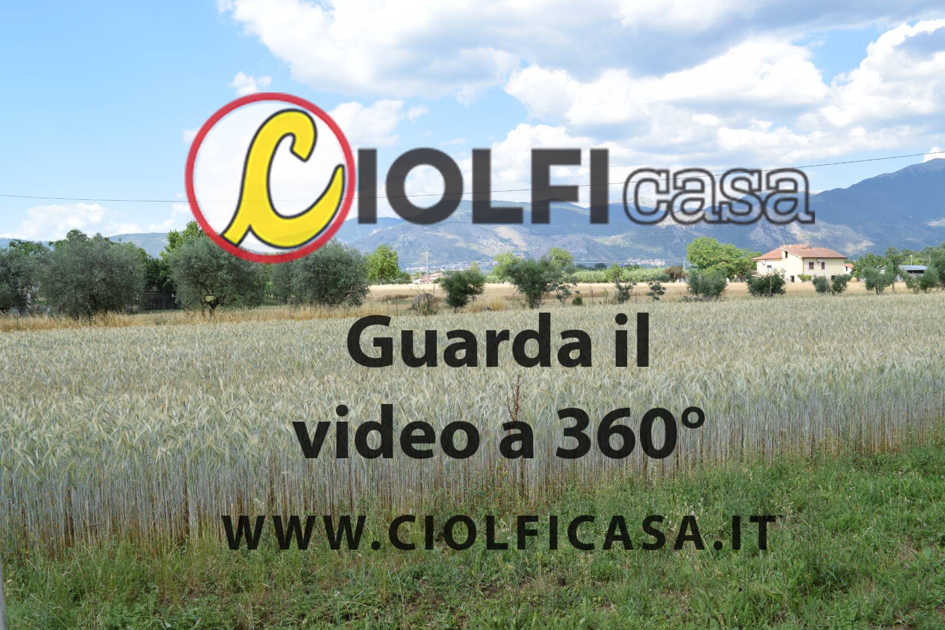 immagine annuncio 5 di 6