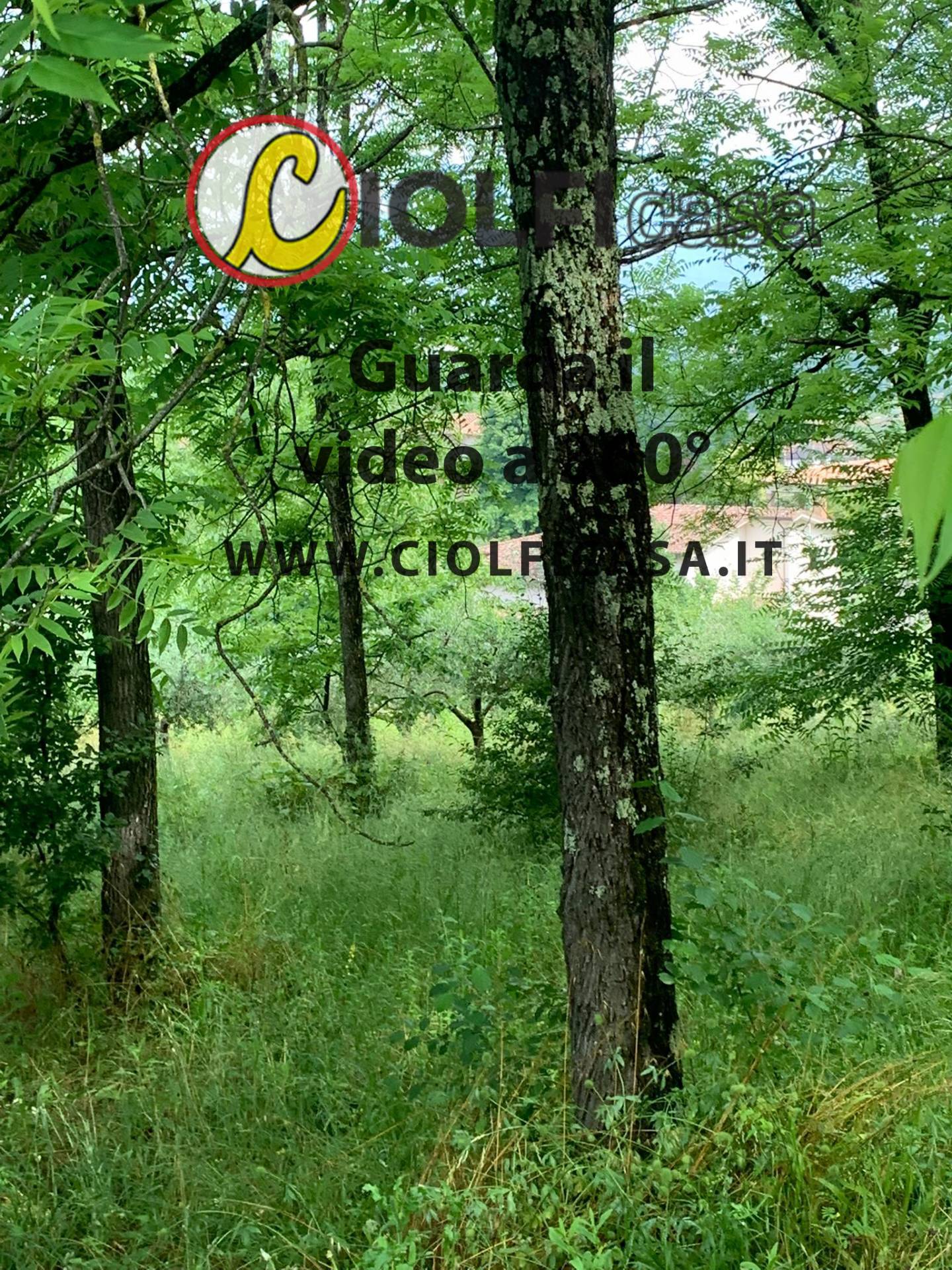 Terreno Agricolo in vendita a Cervaro, Foresta