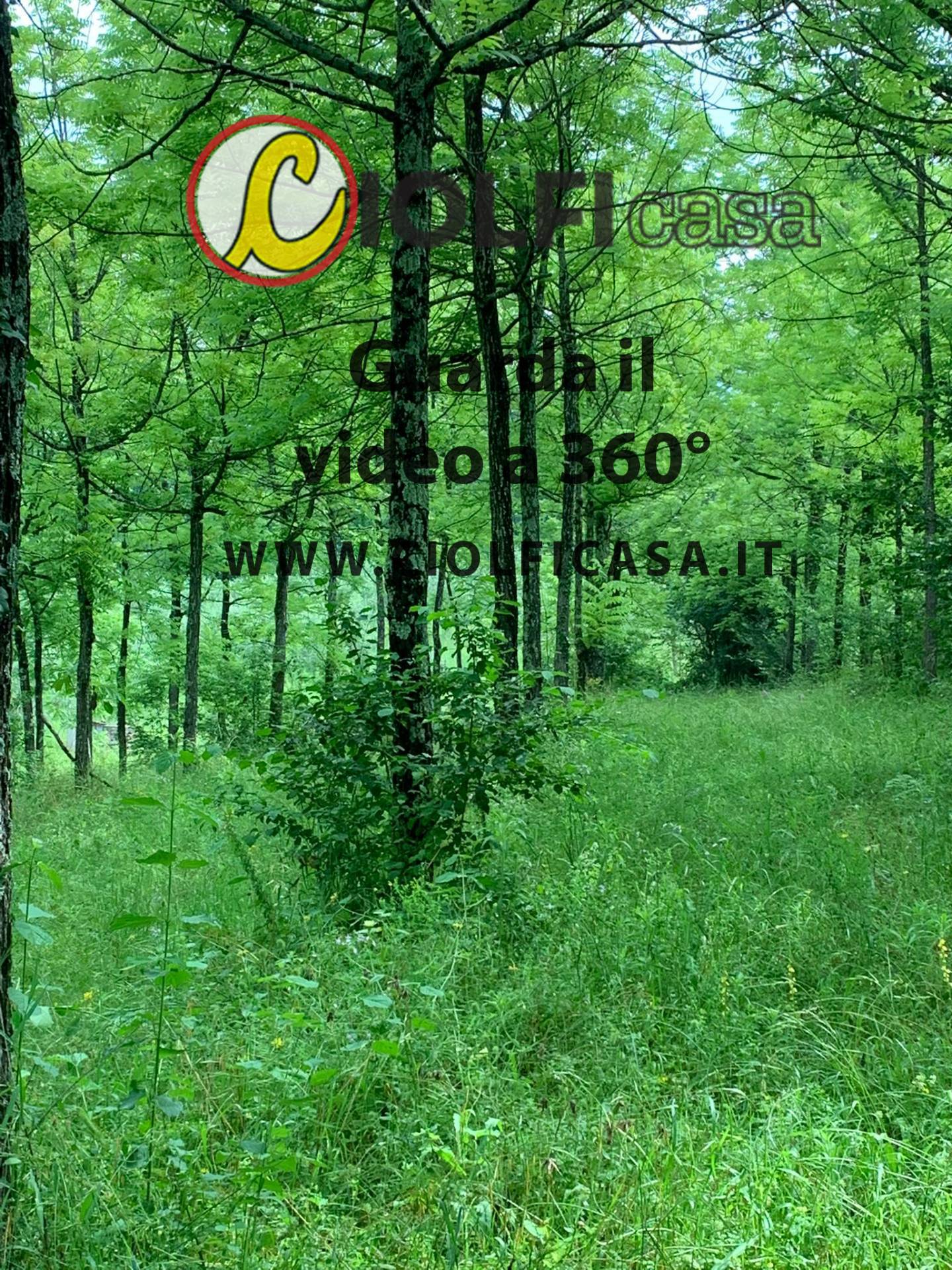 Terreno Agricolo in vendita a Cervaro, Foresta