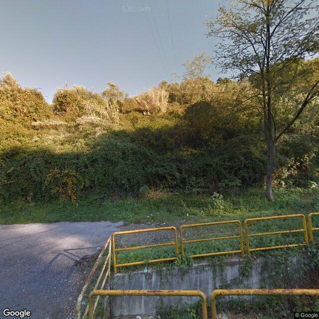 Terreno Agricolo in vendita, Carrara bonascola