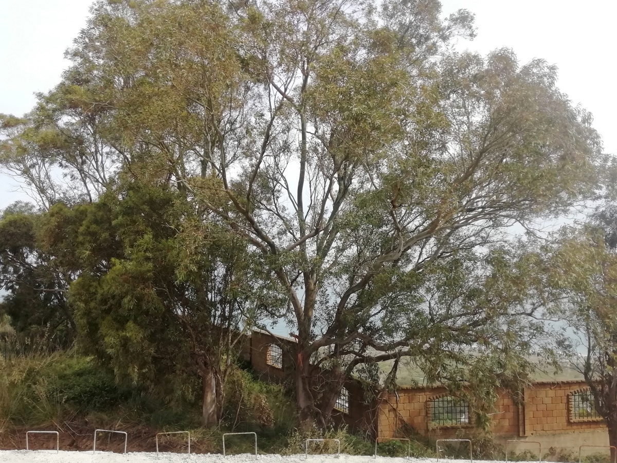 Villa con giardino a Messina