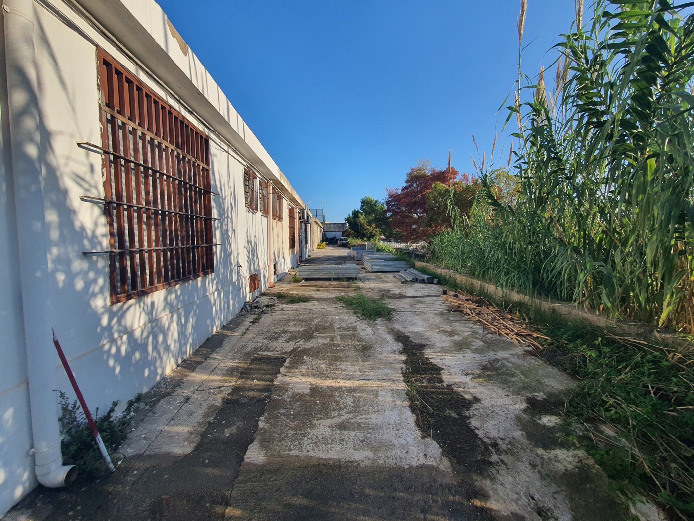 Capannone in affitto a Messina