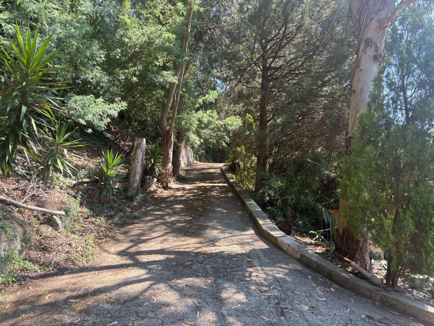 Casa indipendente con giardino a Messina