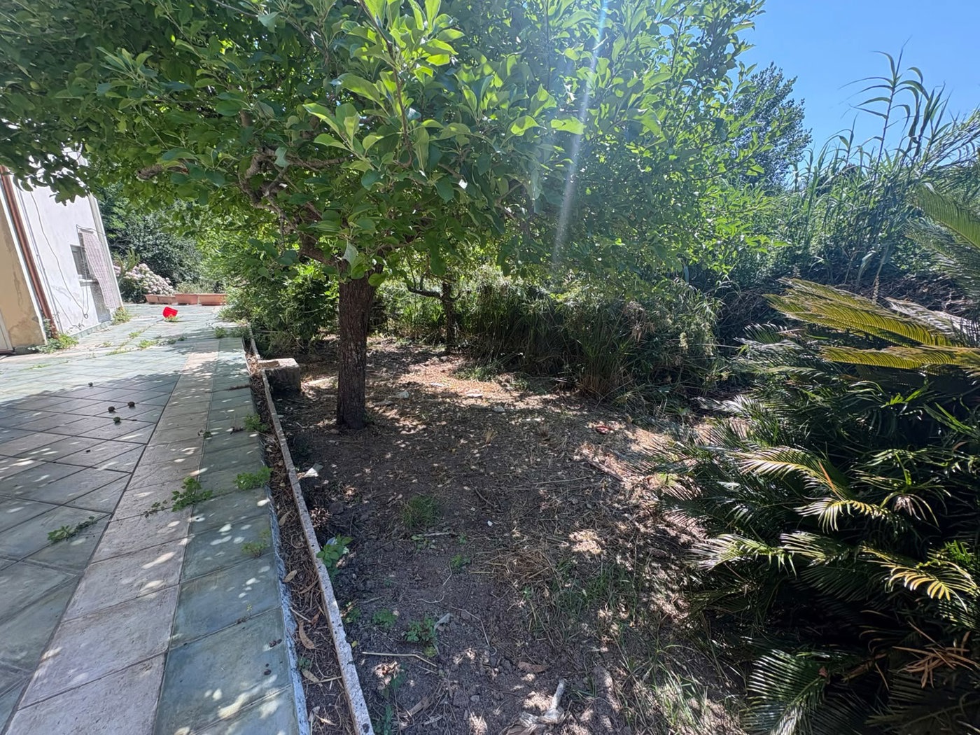 Casa indipendente con giardino a Messina
