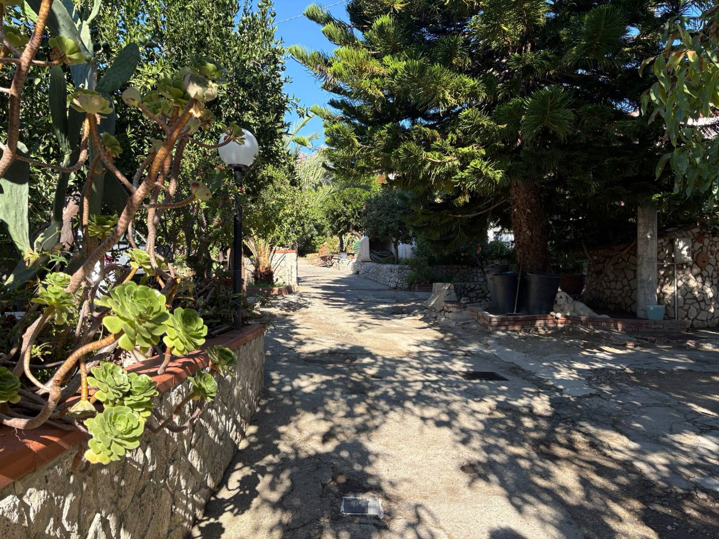 Casa indipendente con giardino a Messina