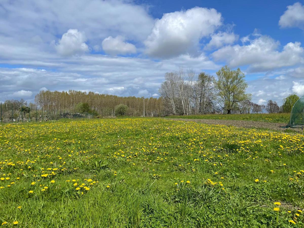 Rustico con giardino a Candia Canavese