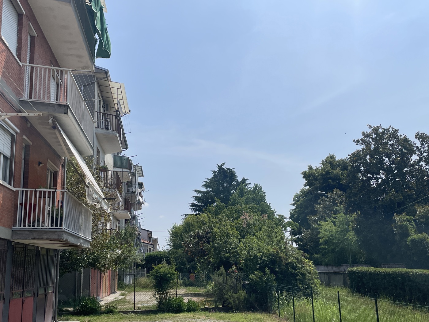 immagine annuncio 5 di 10