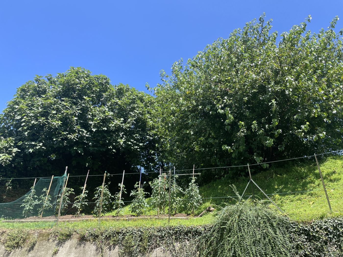 Quadrilocale in vendita a Caluso