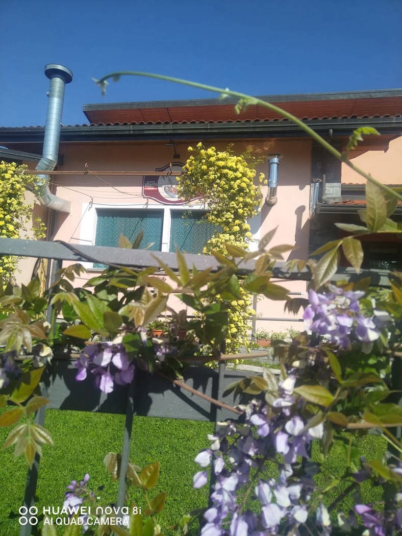 Attivit� commerciale Ristorante e pizzeria in vendita a Vialfr�