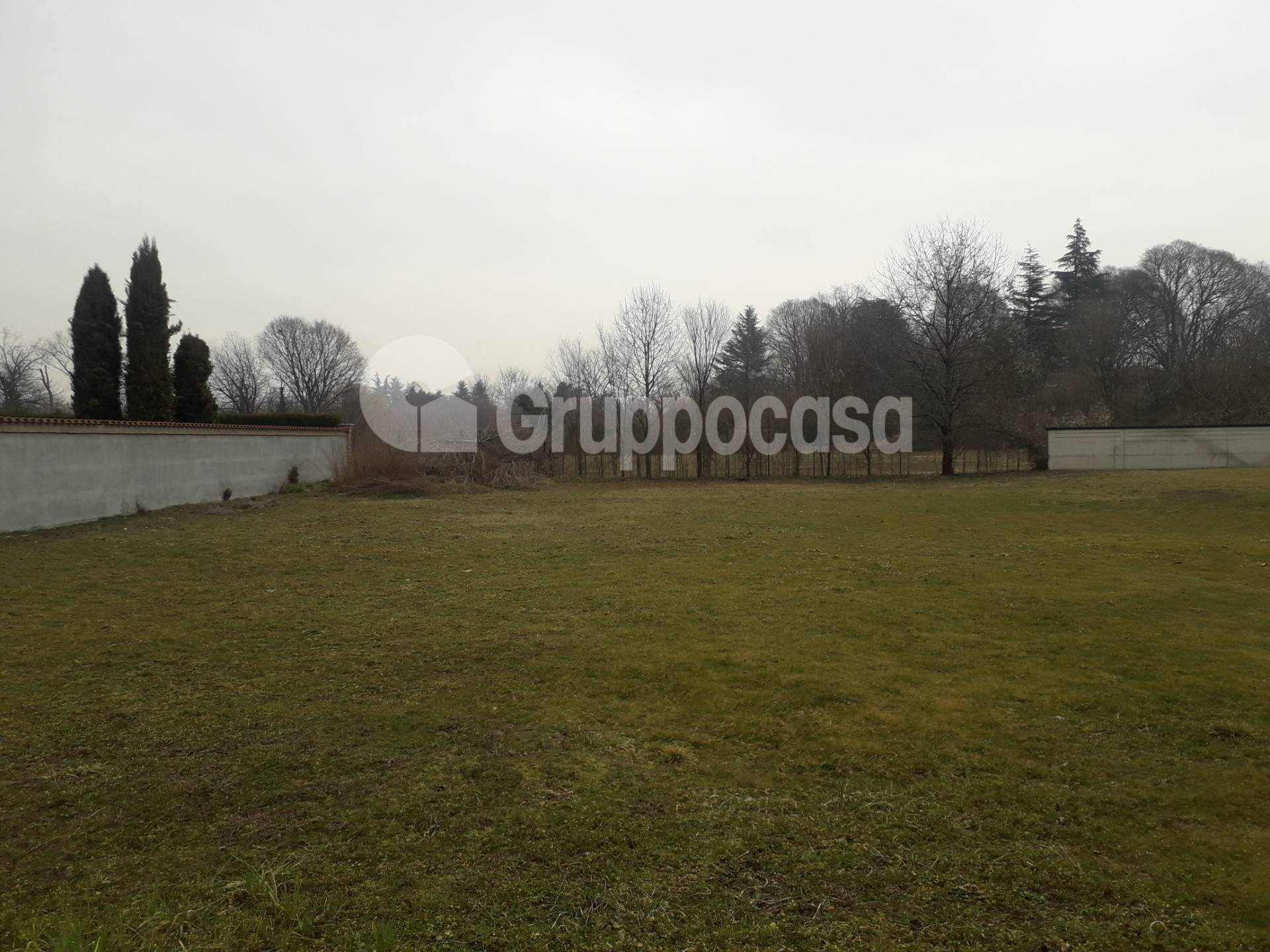 immagine annuncio 2 di 6