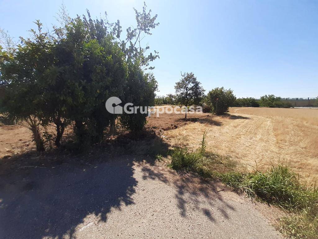 Terreno edificabile in vendita a Marcallo con Casone