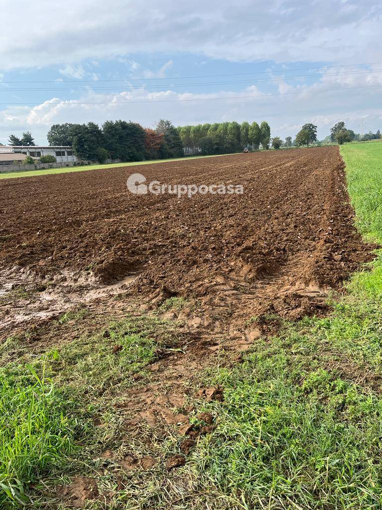 Terreno Agricolo in vendita a Bernate Ticino, Bernate