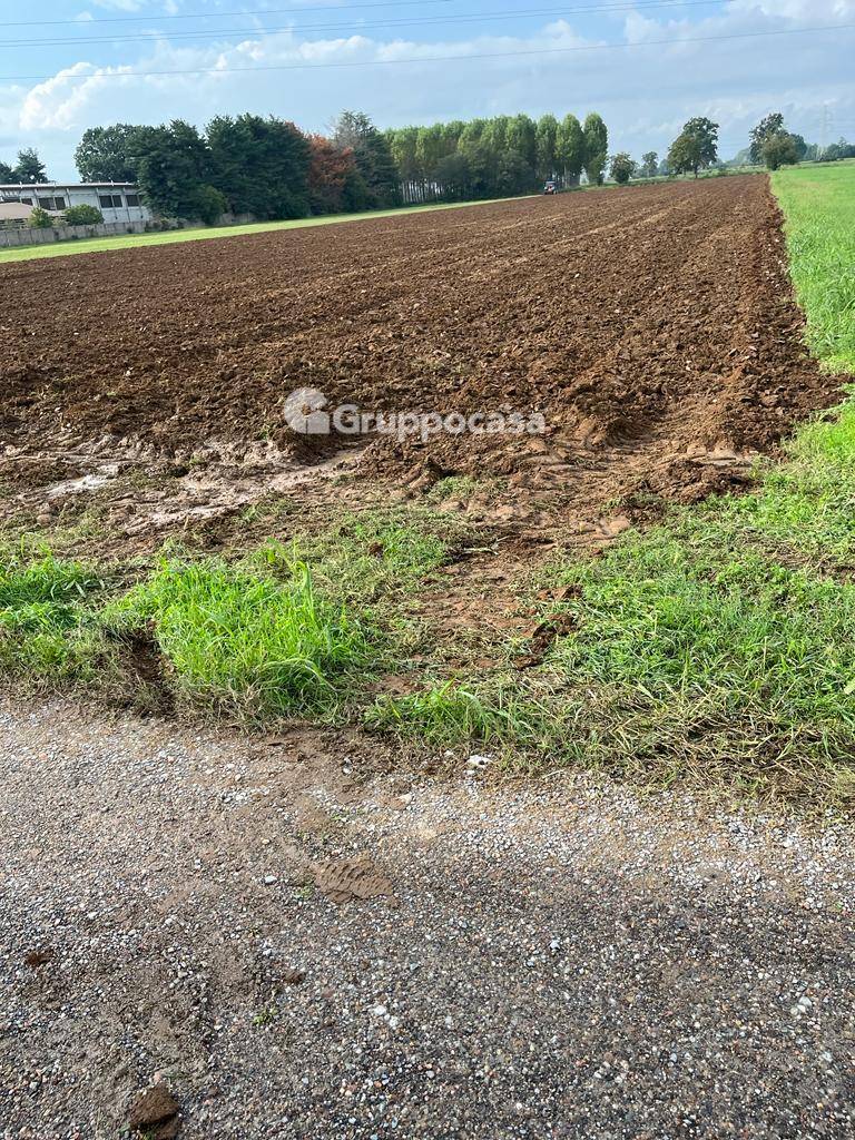 Terreno Agricolo in vendita a Bernate Ticino, Bernate