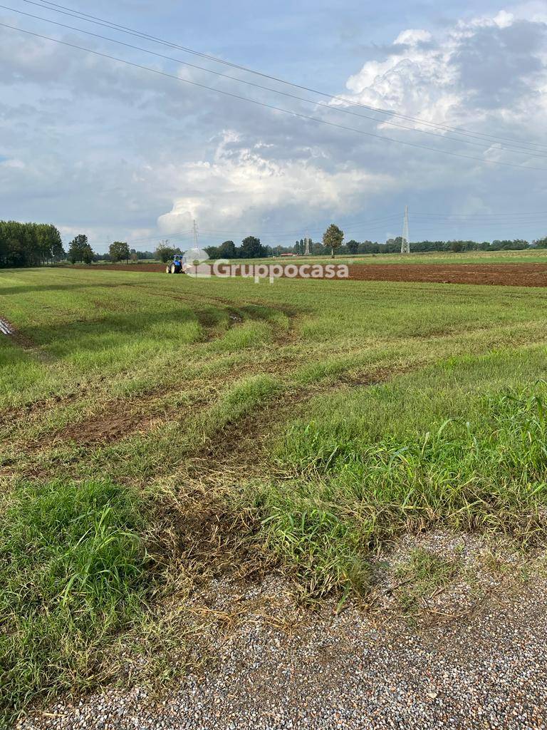 Terreno Agricolo in vendita a Bernate Ticino, Bernate