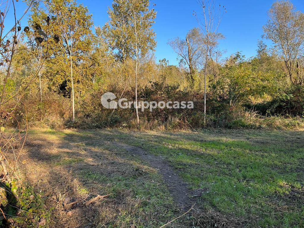 Terreno Agricolo in vendita a Magenta, Pontevecchio