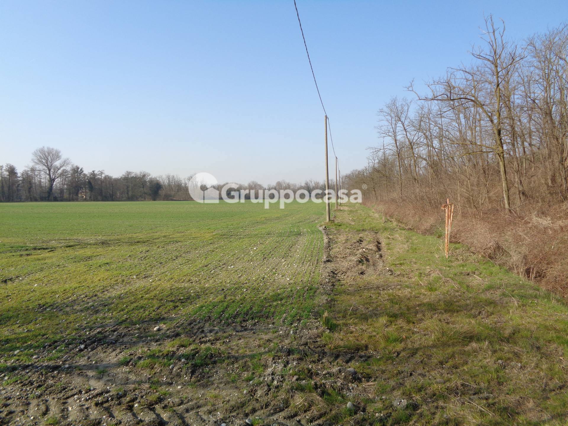 Terreno Agricolo in vendita a Magenta