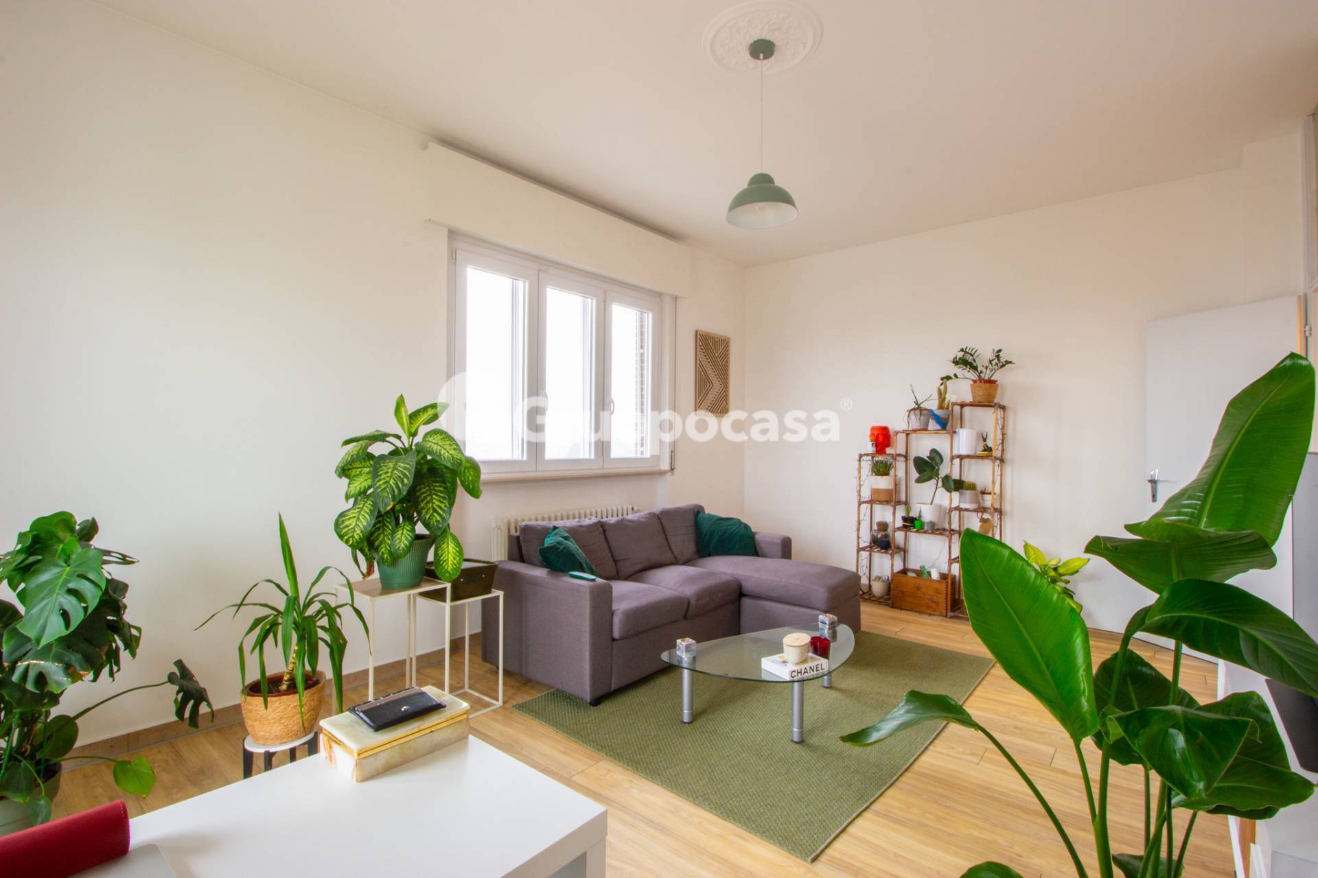 Appartamento in affitto a Boffalora sopra Ticino