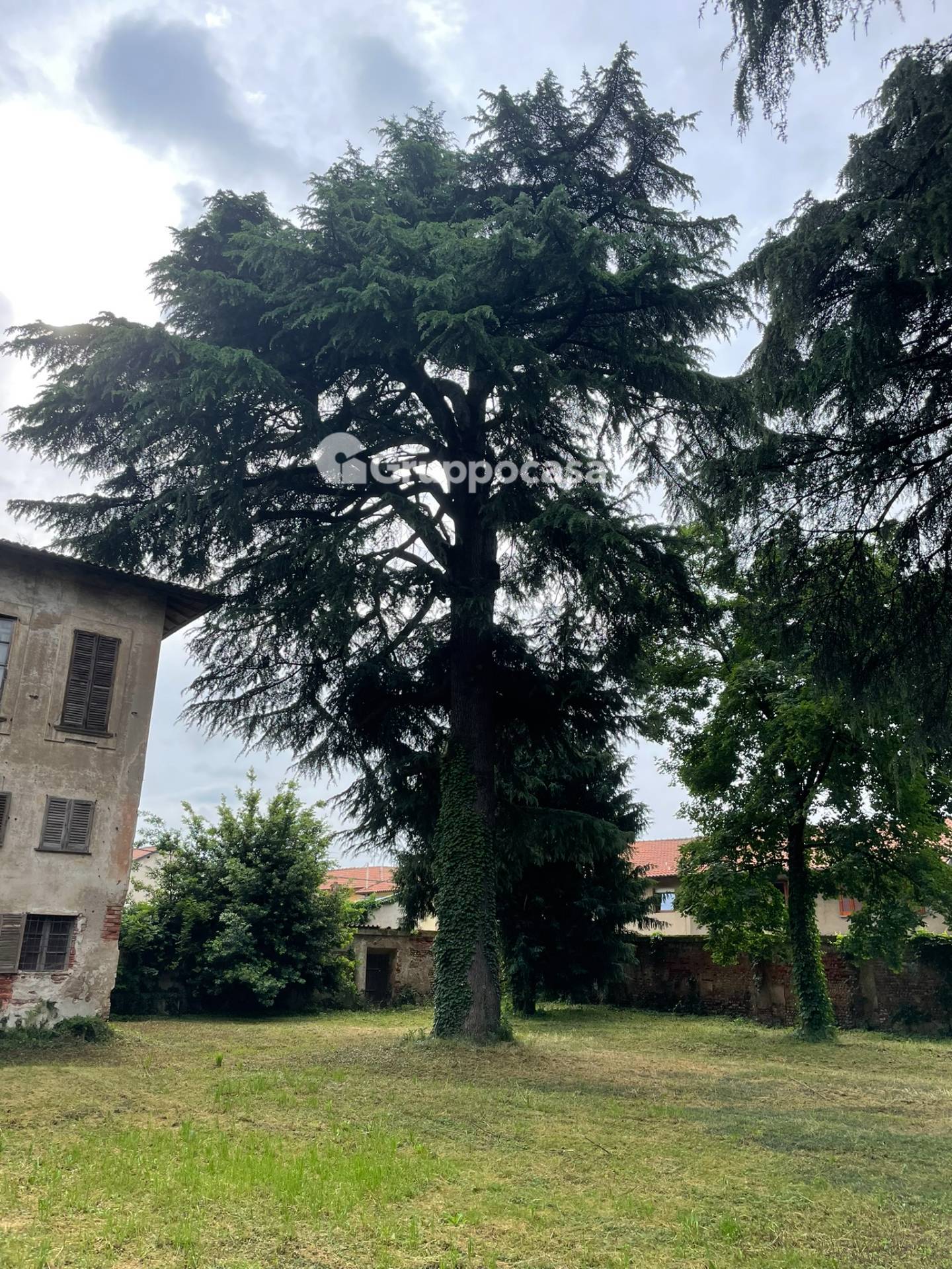 Villa in vendita a Mesero