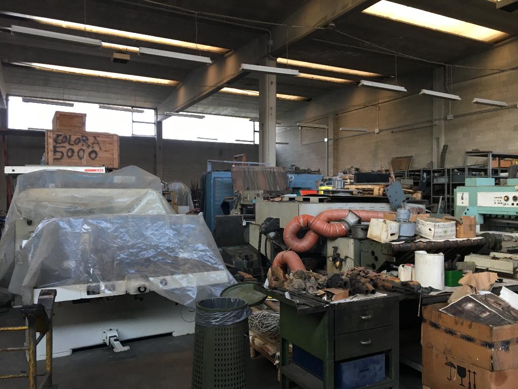 immagine annuncio 7 di 10