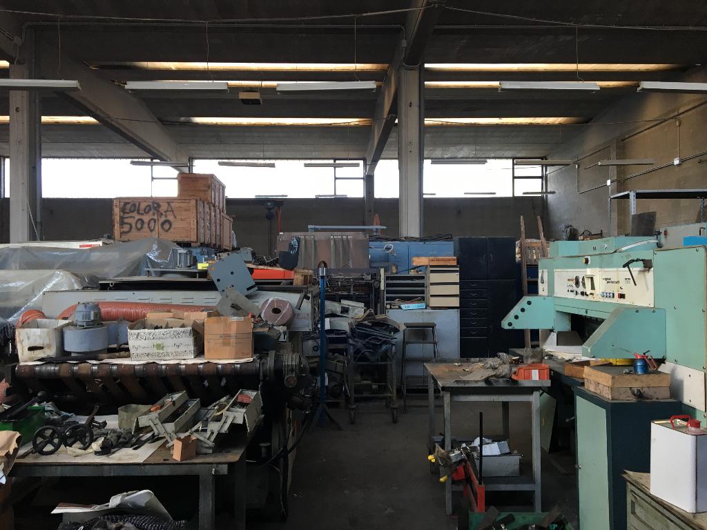 immagine annuncio 8 di 10