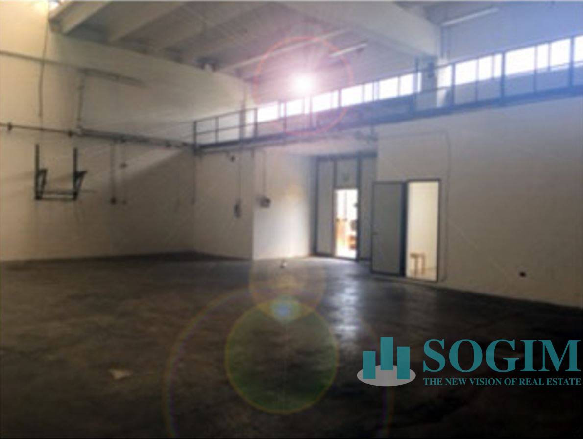 Capannone in affitto a Cologno Monzese