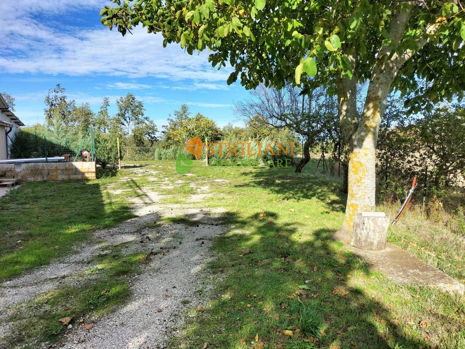 Casa indipendente in vendita a Matrice, Contrada Casone Pacca