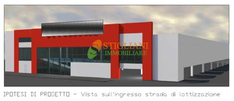 immagine annuncio 2 di 6