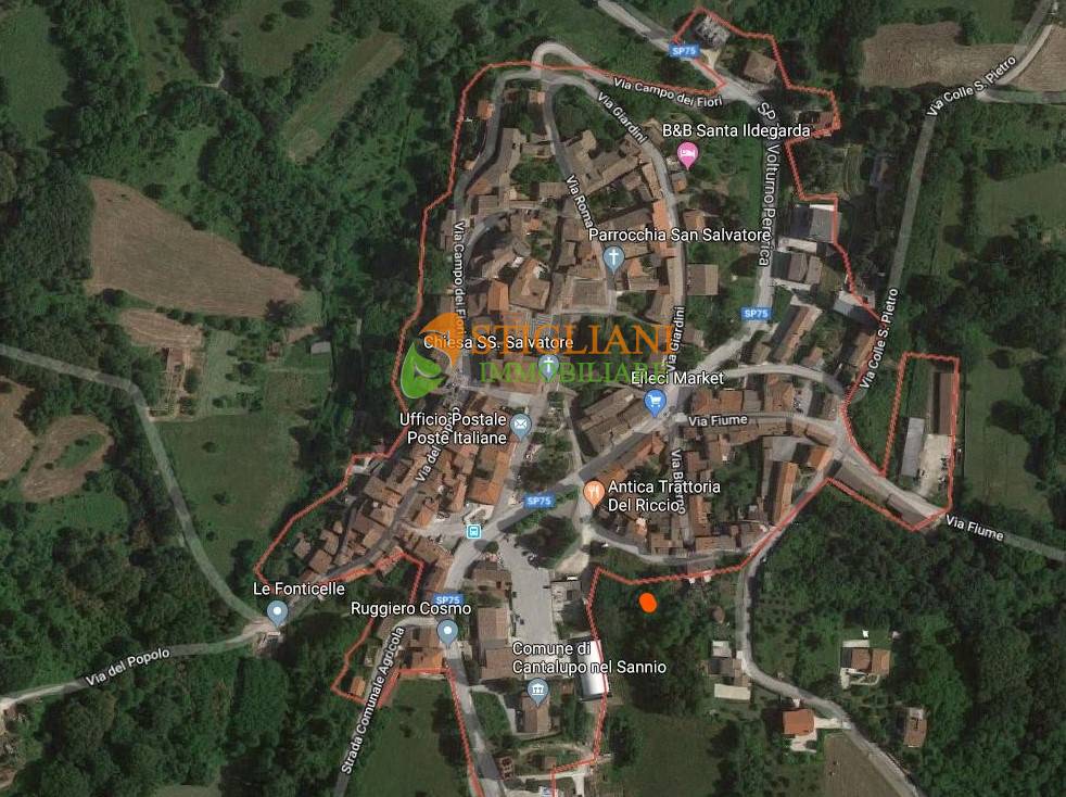 Terreno Agricolo in vendita a Cantalupo nel Sannio