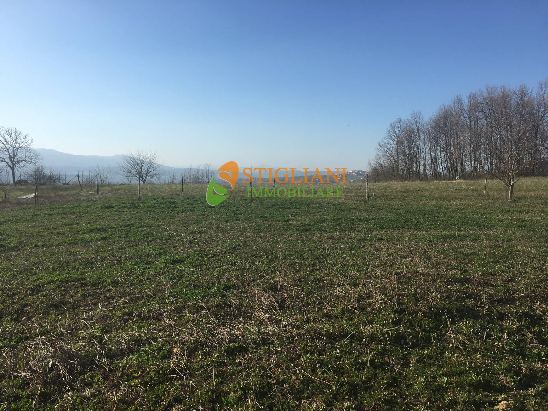 Villa in vendita a Baranello, c.da Terranova