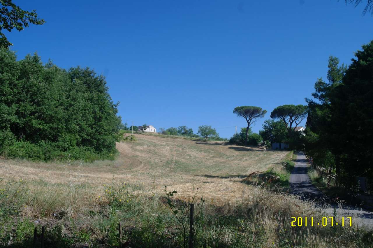 Terreno Agricolo in vendita a Ripalimosani, Contrada Valle Alberto