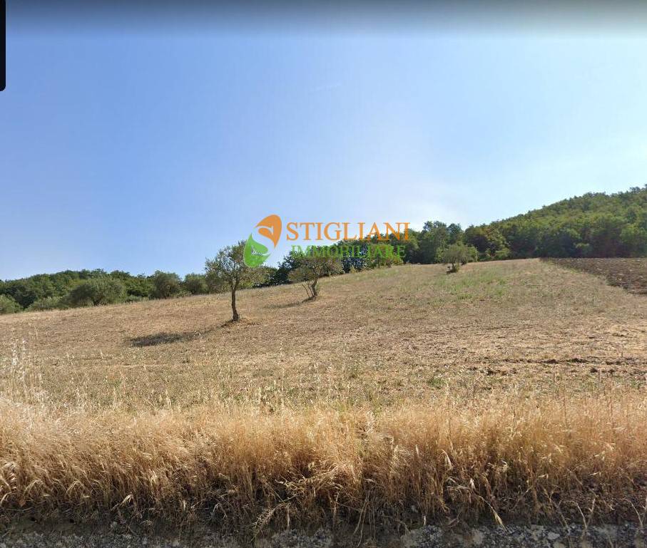 Terreno Agricolo in vendita a Gildone, Strada Provinciale 165 - Gildonese