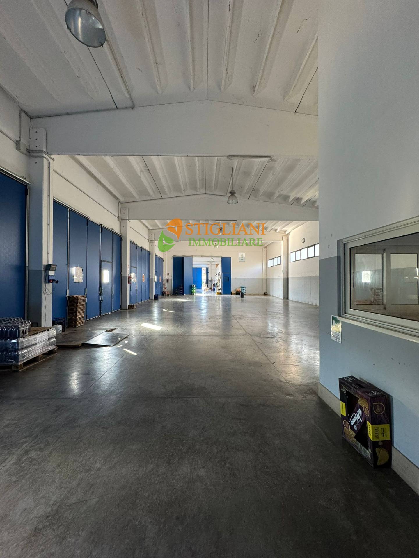 Locale commerciale in affitto a Campobasso, Contrada Selvapiana