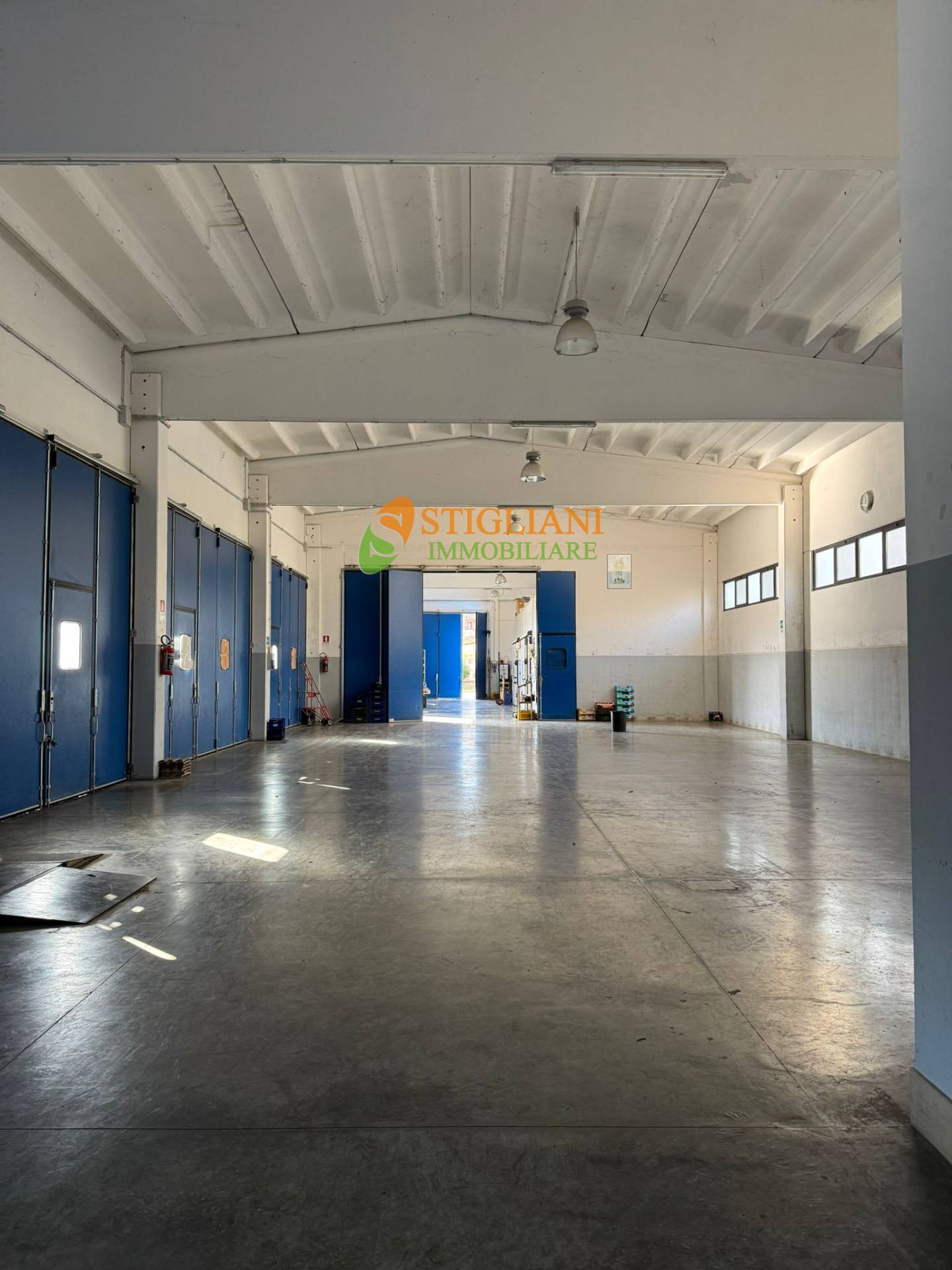 Locale commerciale in affitto a Campobasso, Contrada Selvapiana